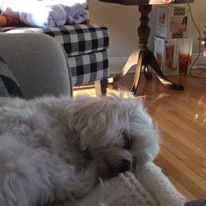 Meet your Posher, Donna